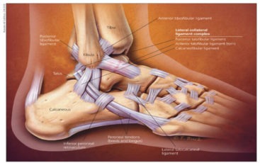 ATFL Tear Singapore | The Orthopaedic Centre